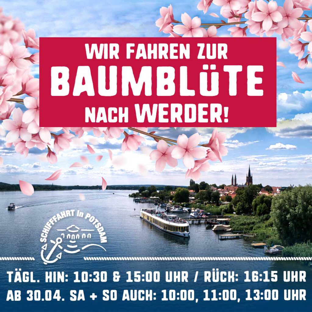Fahrten zur Baumblüte in Werder